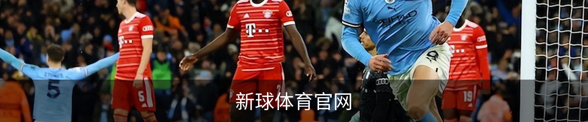 新球体育官网